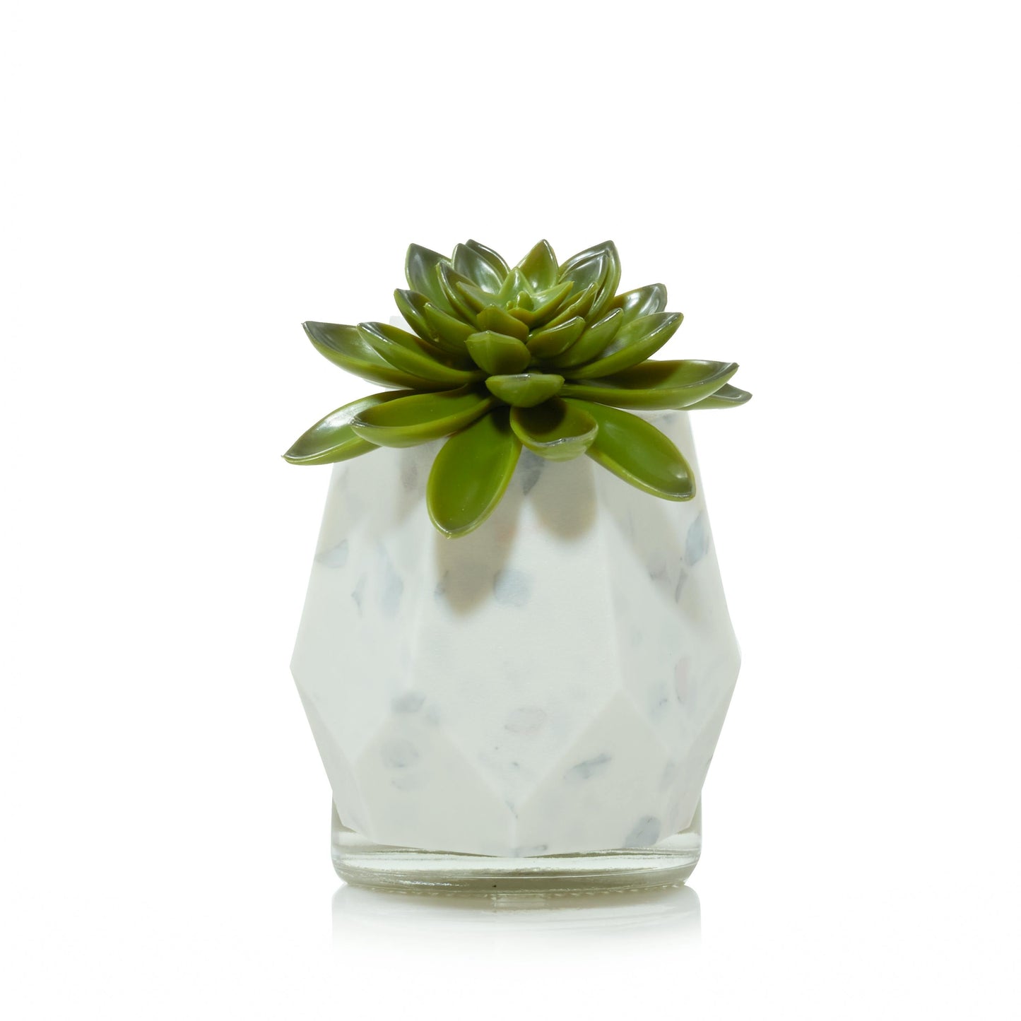 Faceted Succulent ScentPlug® Diffuser with Light 3WJ1