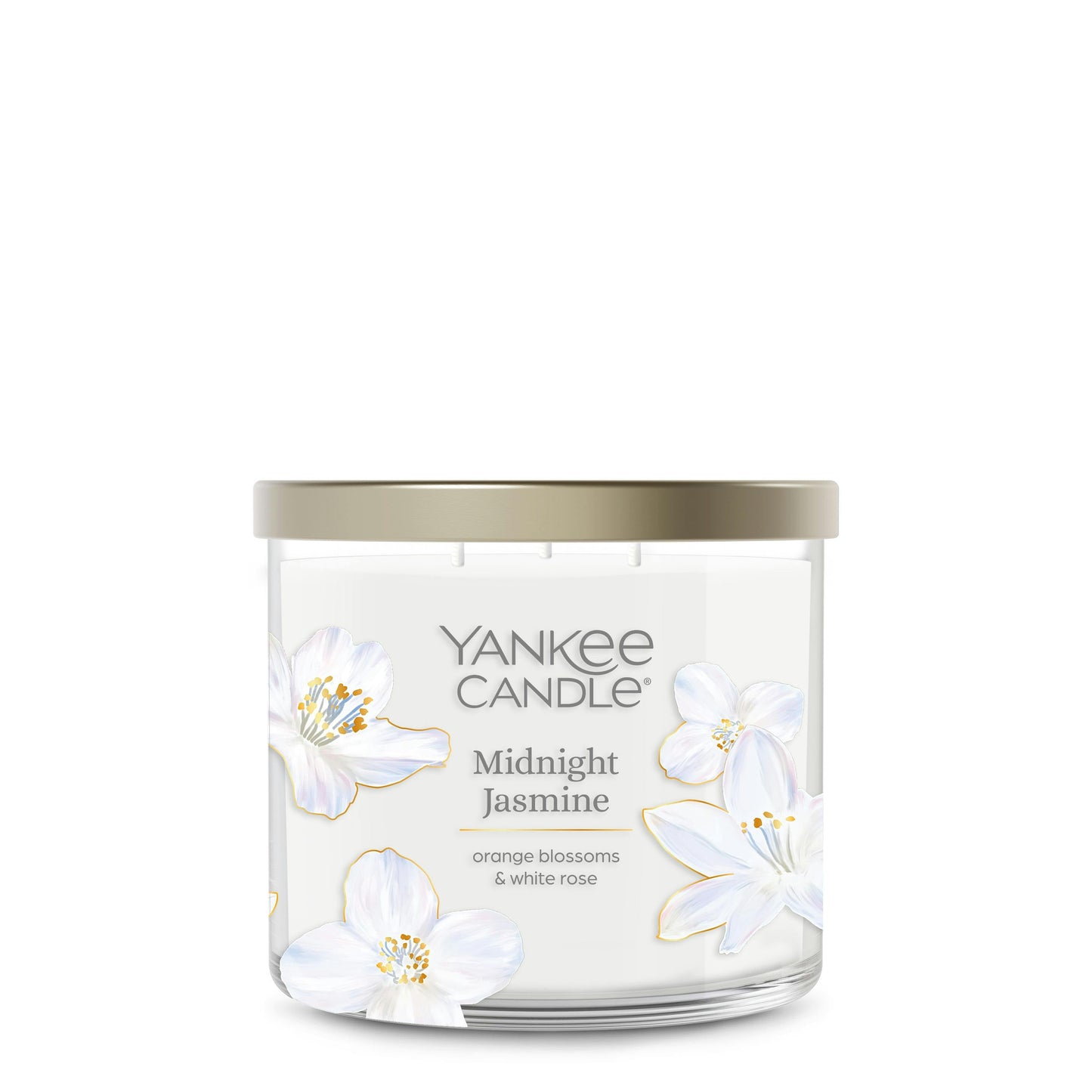 Midnight Jasmine EVCL