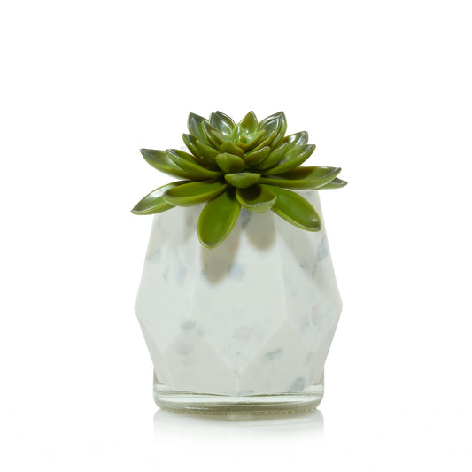 Faceted Succulent ScentPlug® Diffuser with Light 3WJ1